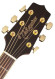 TAKAMINE G50 SERIES GD51-BSB акустическая гитара типа DREADNOUGHT, цвет санберст.